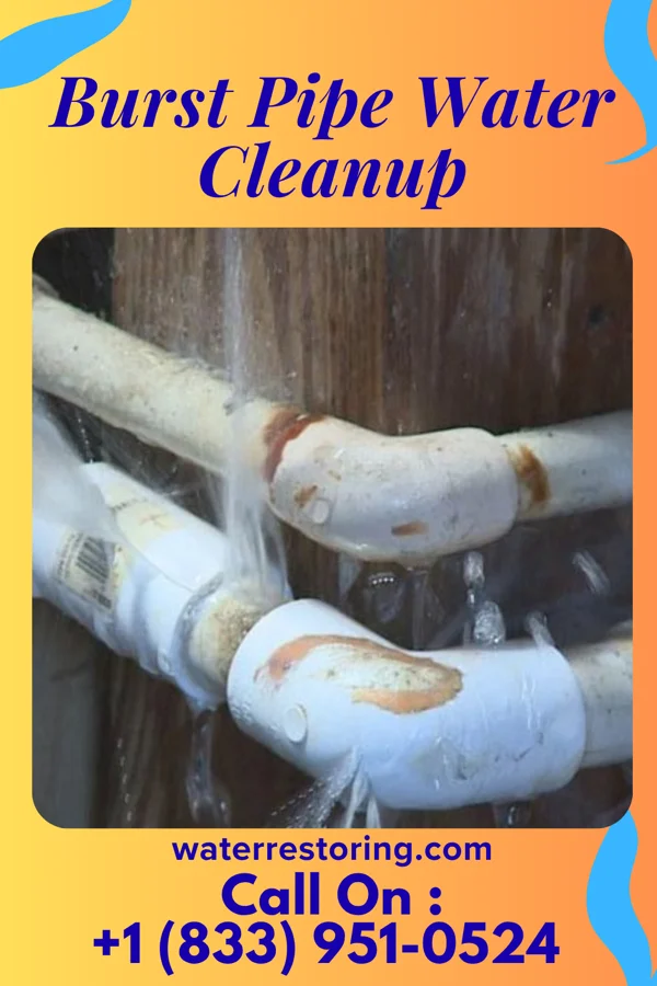 Burst Pipe Water Cleanup in Mendota, MN